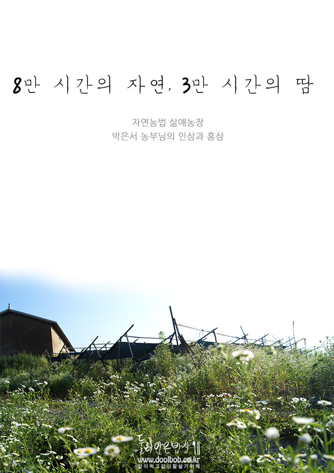 자연인삼 이미지