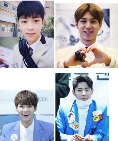 보니헤일로 이미지