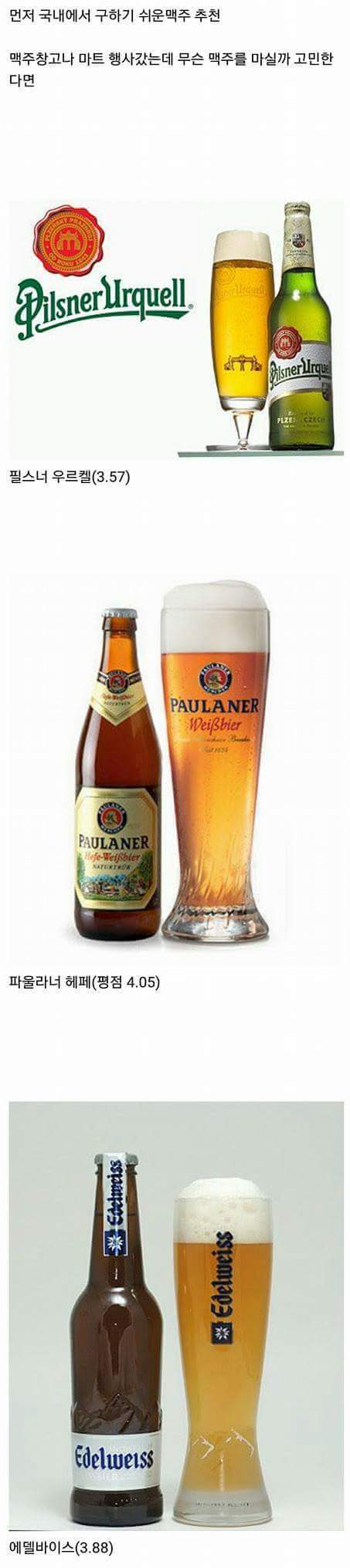 맥주 덕후들이 추천하는 맥주 | 인스티즈