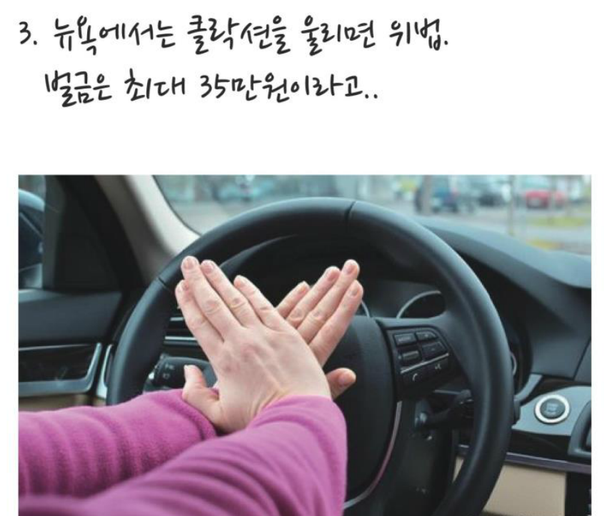 세계 황당한 법률 | 인스티즈