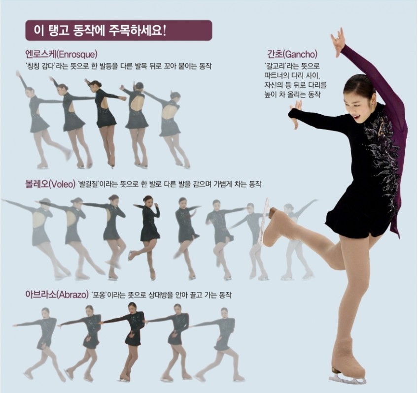 프리탱고 이미지