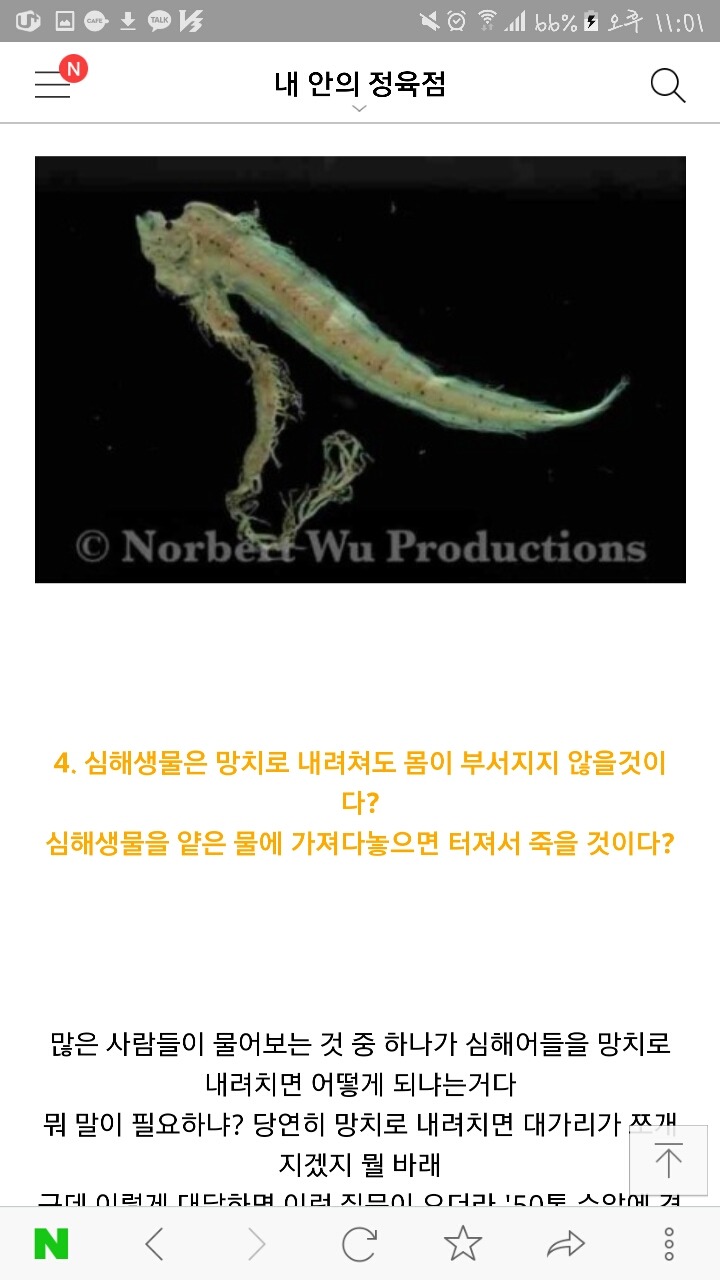 심해생물에 대해 당신들이 잘 모르는 사실들 | 인스티즈