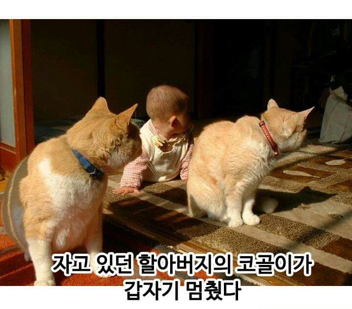 믿고보는 제목학원 | 인스티즈