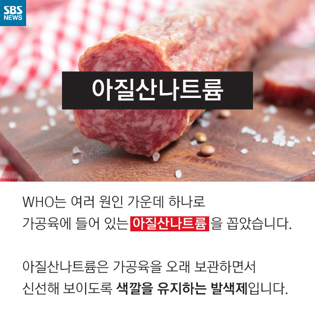 소시지는 암을 유발한다(?) | 인스티즈