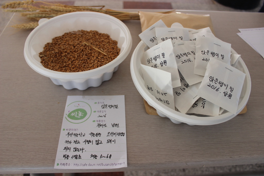 씨드림 이미지