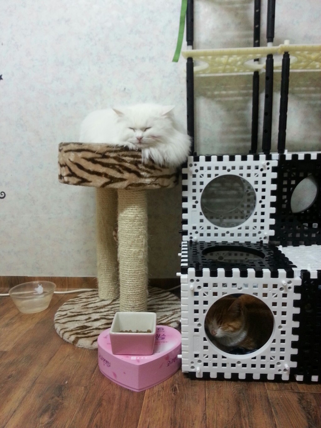 두식이 이미지