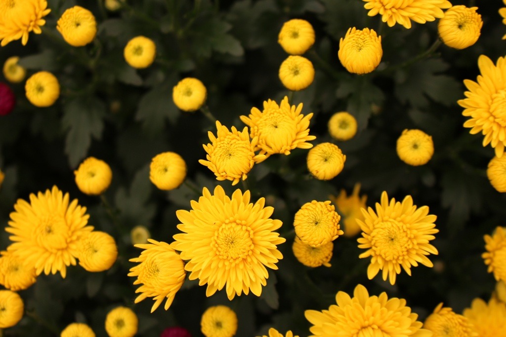 241E073C5263C408055310