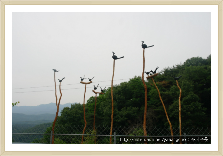 도함도예 이미지