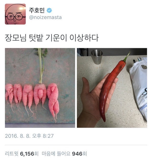 파괴왕 주호민이 말하는 이상한 기운 | 인스티즈