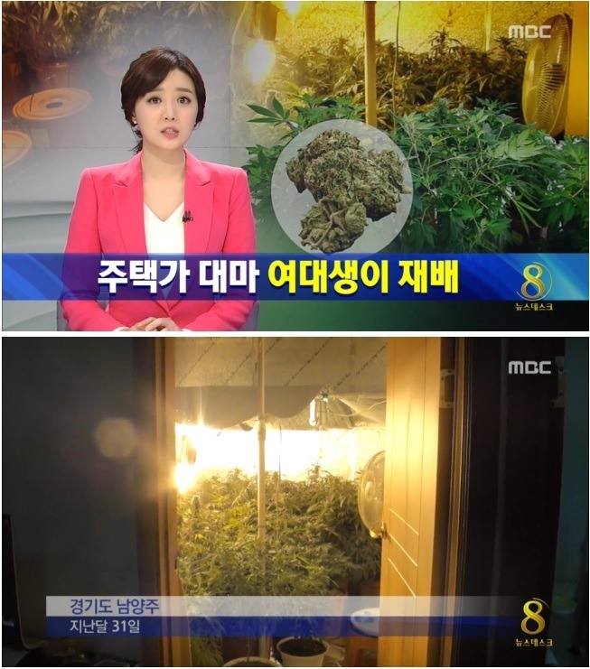 여대생_은밀하게_자취방에서.jpg | 인스티즈