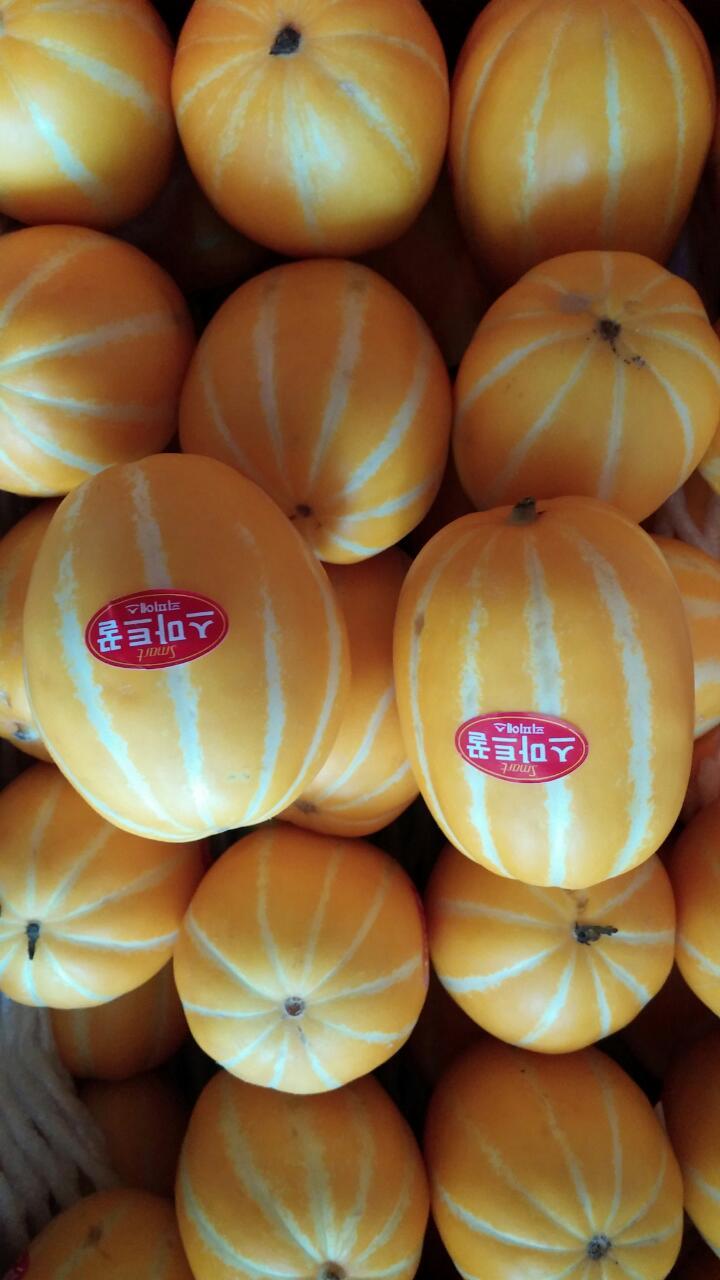 성주 이미지