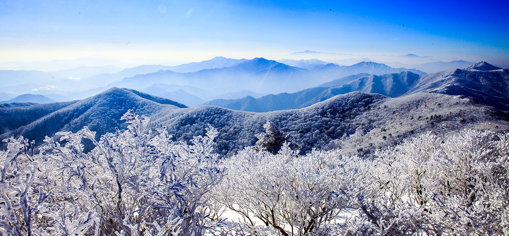 설화 이미지