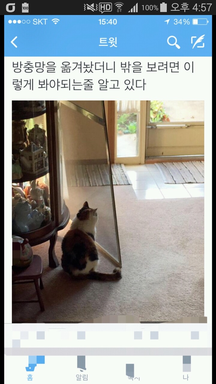 빙구같은 고양이의 매력 (움짤,데이터도둑) | 인스티즈