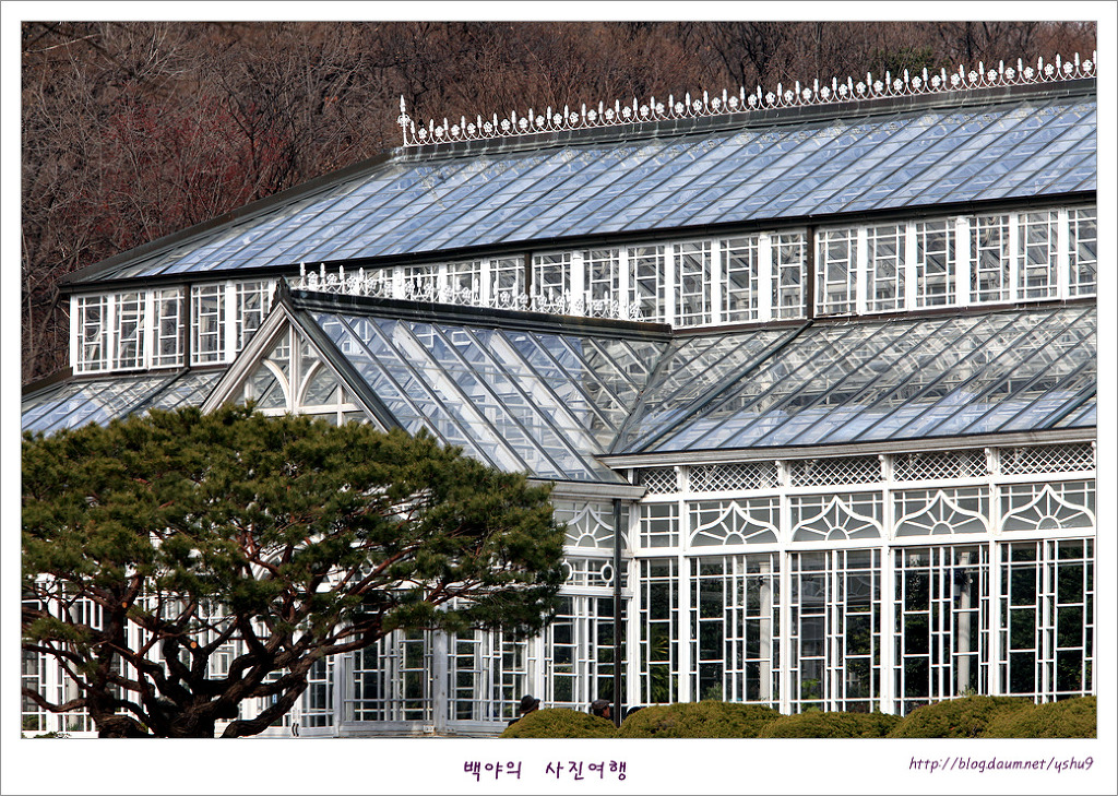 꽃님 이미지