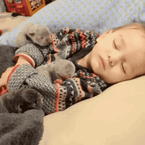 [데이터주의] 새끼 동물들 .GIF | 인스티즈