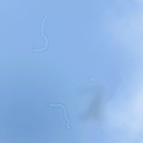 가끔 눈에 보이는거.gif | 인스티즈