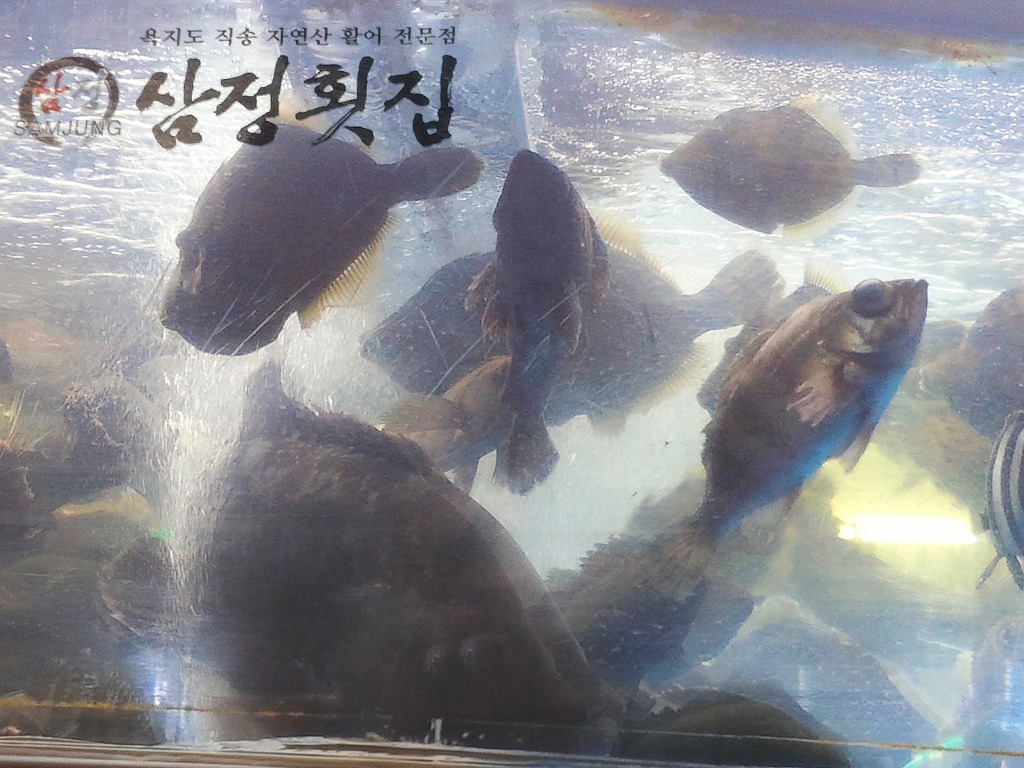 삼정횟집 이미지