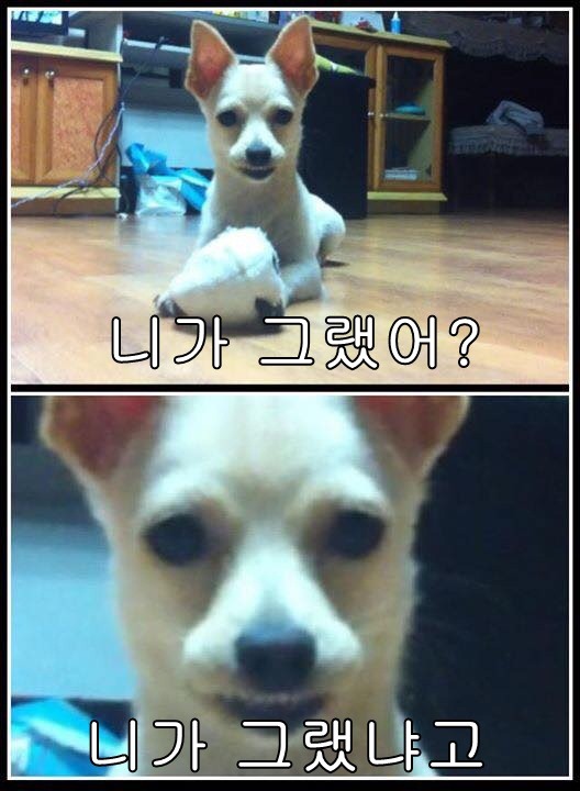 우리나라에 살면서 정말 이해가 안 가는 것 | 인스티즈