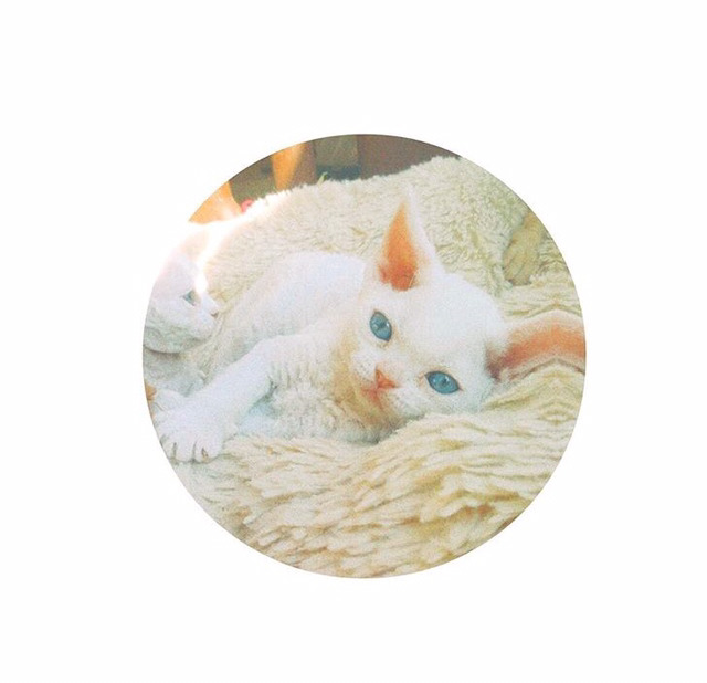 민효린햏이 키우는 반려동물이 왜 자주 바뀌는지 피드백해줬음하오 | 인스티즈