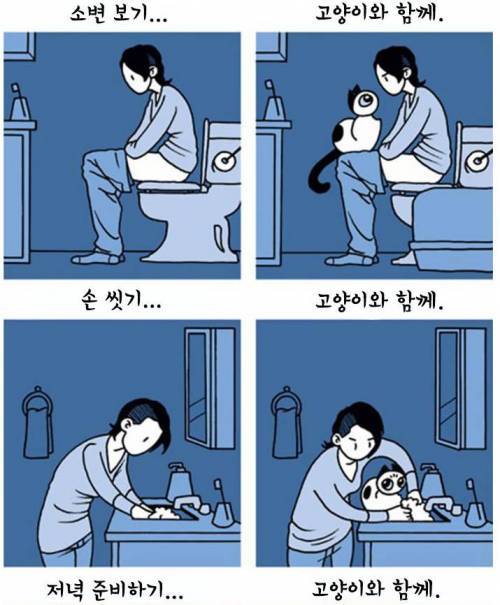 집사들 공감 짤들 | 인스티즈