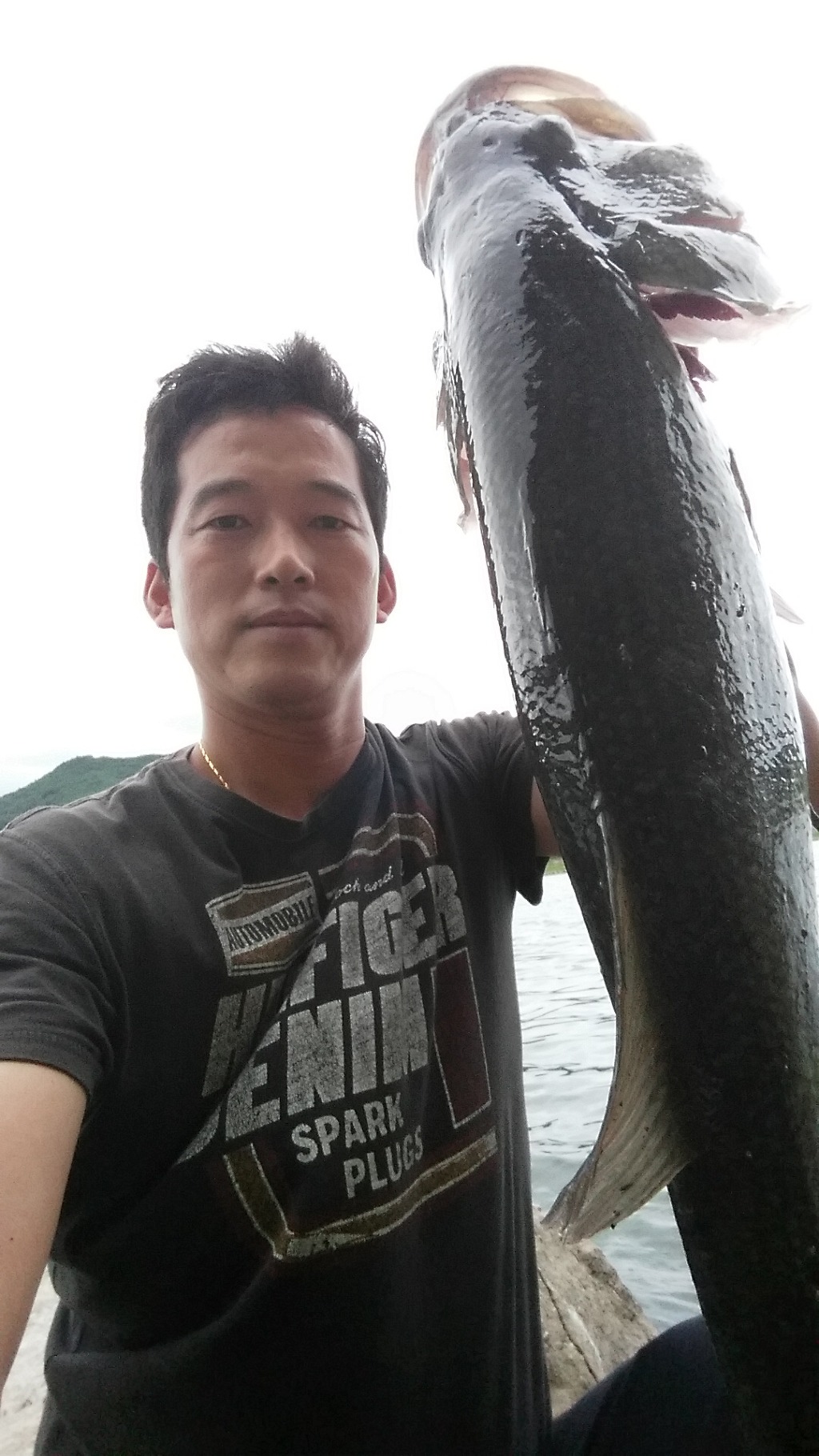 대*****물 이미지