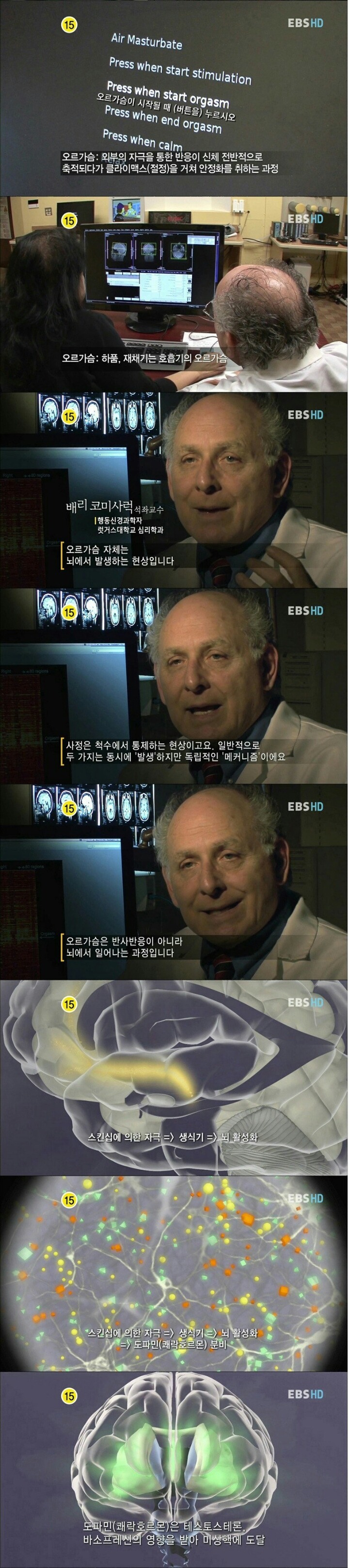 섹스에 대한 잘못된 상식.jpg | 인스티즈