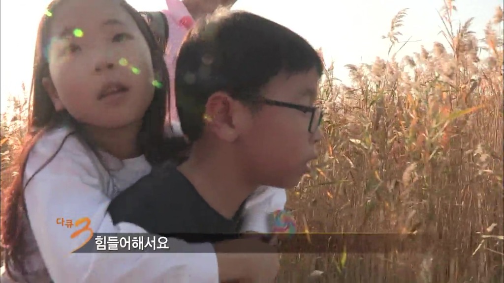 반도의 흔치않은 여동생과 오빠.jpg | 인스티즈