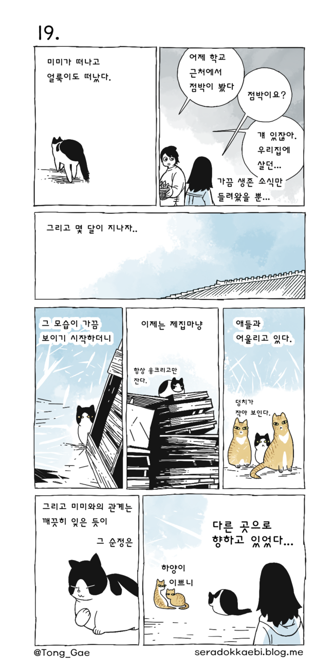 고양이 여덟마리와 살았다 17~21 | 인스티즈