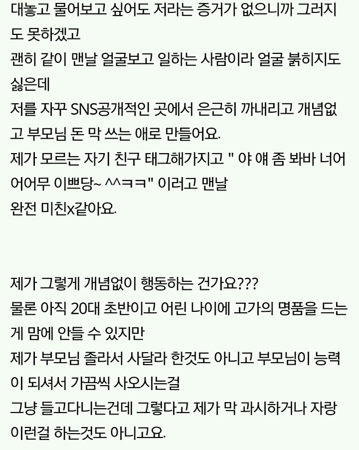 20대 초반 여자 명품백 드는게 그렇게 욕먹을 일인가요??? | 인스티즈