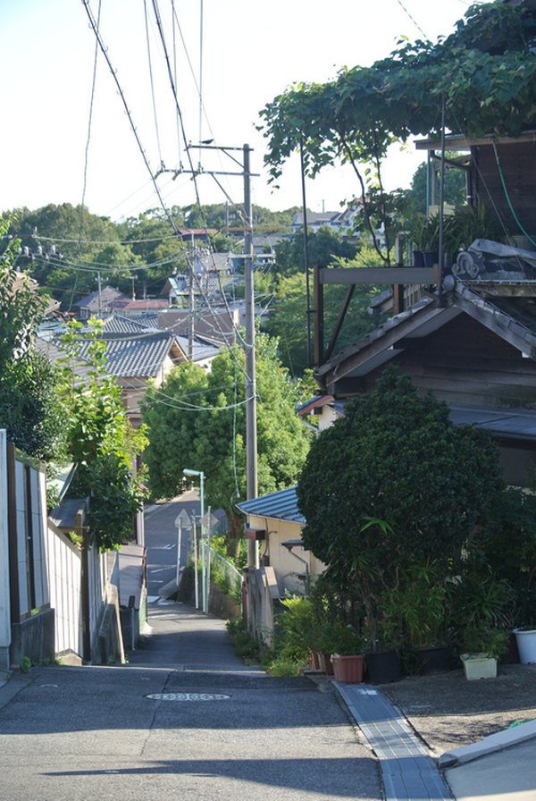 많은 사람들이 좋아하는 일본 특유의 청량감있고 아련한 분위기 | 인스티즈