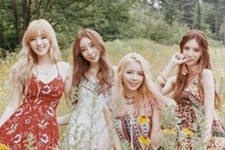 걸그룹 여자친구랑 친한 걸그룹 모음 | 인스티즈