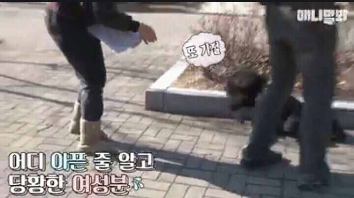여자보면 쓰러지는 개 이야기 | 인스티즈