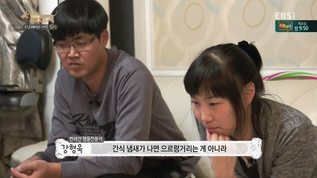 [세상에나쁜개는없다] 가족들에게 짖고 무는 강아지 릴리햏 | 인스티즈