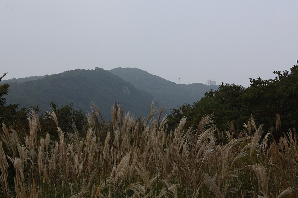 고개상회 이미지