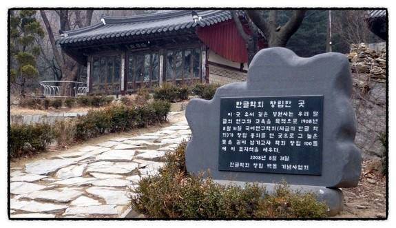 바라기 이미지