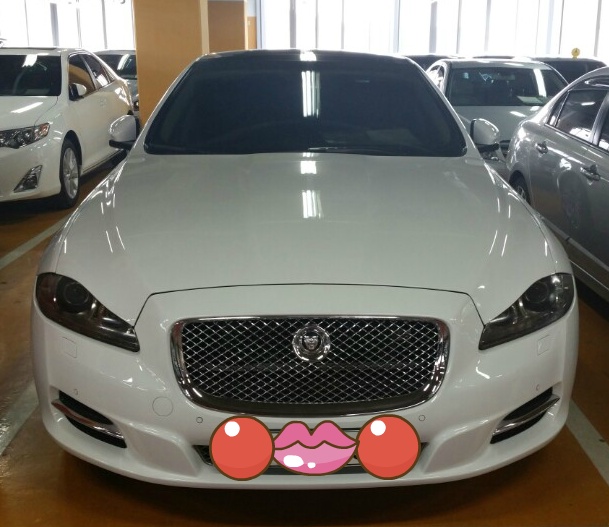 카피아 이미지