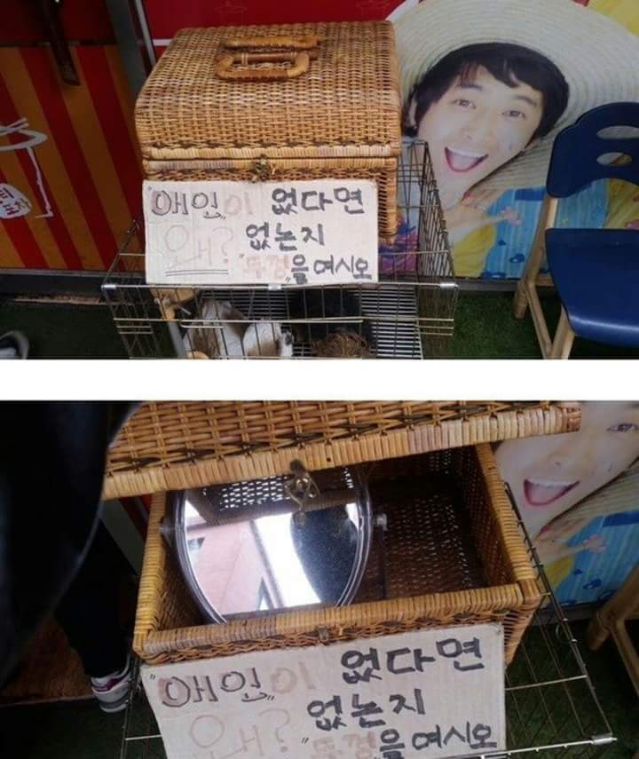 당신이 애인없는 이유 | 인스티즈