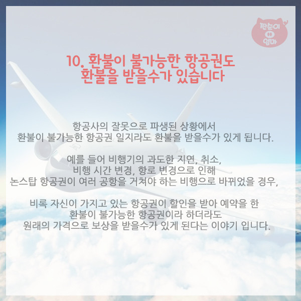 항공사가 숨기는 탑승객 권리 10가지 | 인스티즈