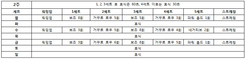 턱걸이 초보도 50개 올리는 프로그램 | 인스티즈