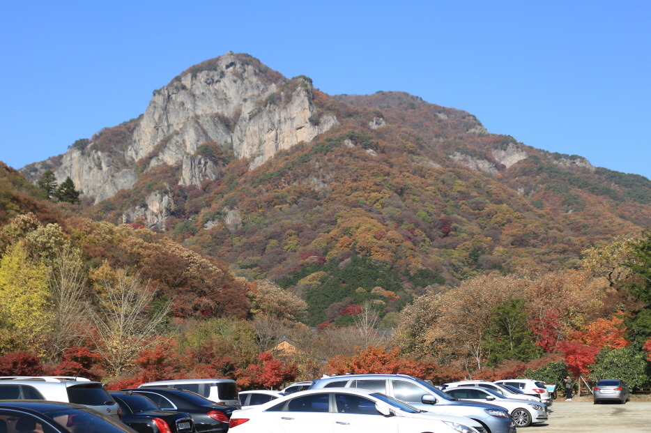 백양사 이미지