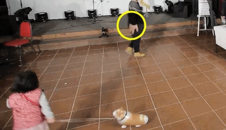 [1박2일] 5살 태은이가 아침부터 울었던 이유 | 인스티즈