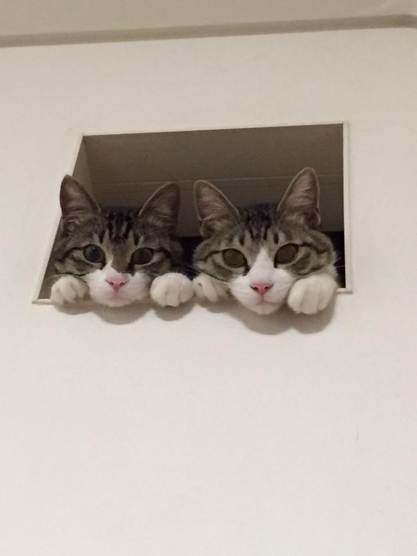 256CBA47561F65E324AADD