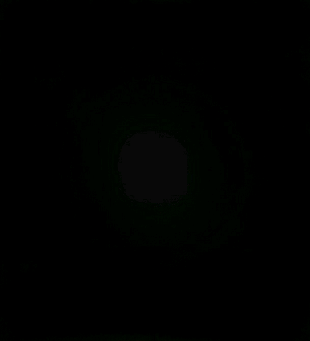 올해 마지막 달을 즐기는 16학번 남자들의 그리 머지않는 미래.gif | 인스티즈