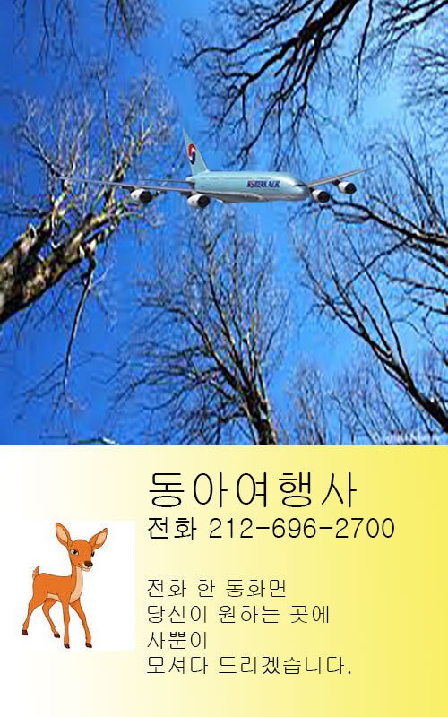 동아여행사 이미지
