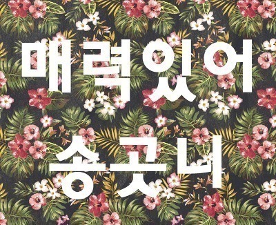 외국인의 문화충격 | 인스티즈