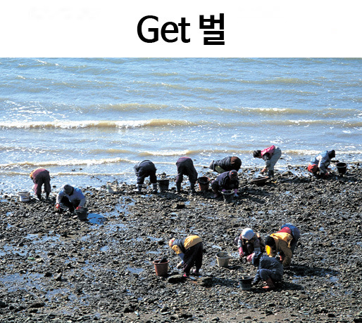 독침붕 얻을수 있는곳 (포켓몬go) | 인스티즈