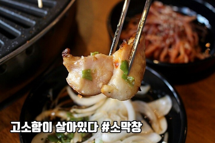 막창도둑 이미지