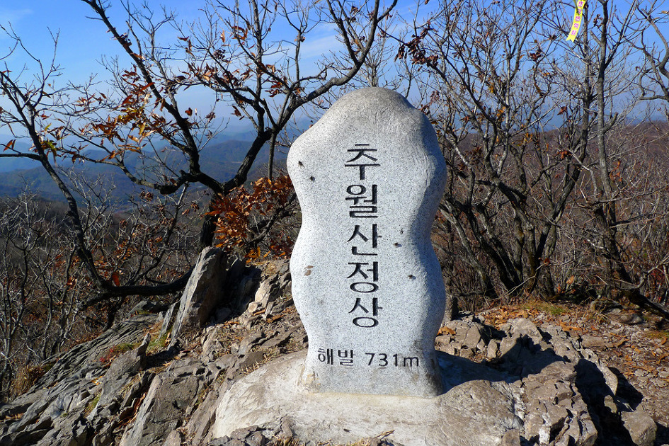금성2주유소 이미지