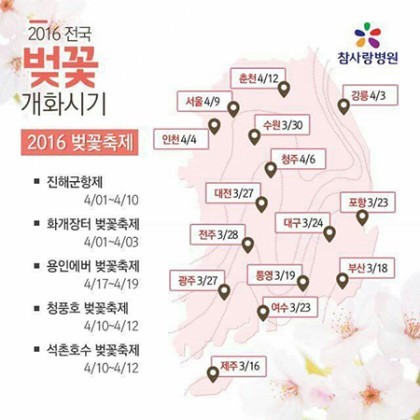 2016년도 올해 봄꽃개화시기&축제기간 | 인스티즈