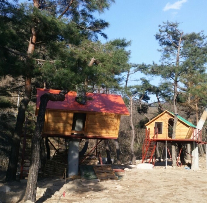 트리하우스 이미지